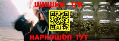 скорость Кингисепп