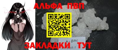 скорость Кингисепп