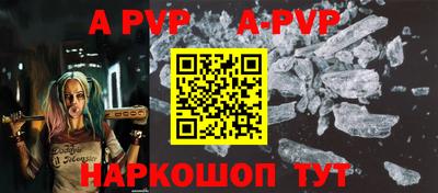 скорость Кингисепп