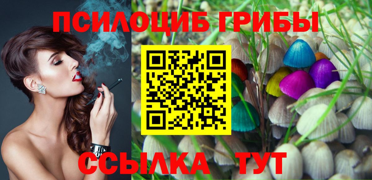 Галлюциногенные грибы Psilocybe  Вход с VPN  Дюртюли 